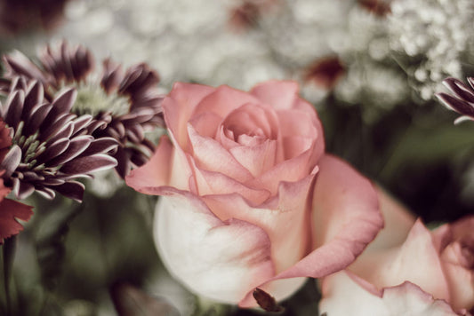 Bouquet of Roses